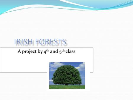 A project by 4th and 5th class. Silviculture Silviculture is the growing of trees Silviculture is the growing of trees The Irish State Forestry department.