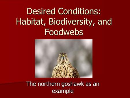 The northern goshawk as an example Desired Conditions: Habitat, Biodiversity, and Foodwebs.