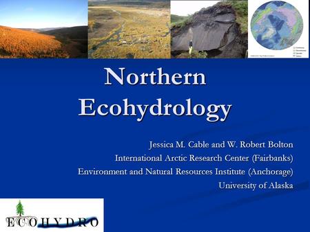 Northern Ecohydrology Jessica M. Cable and W. Robert Bolton International Arctic Research Center (Fairbanks) Environment and Natural Resources Institute.
