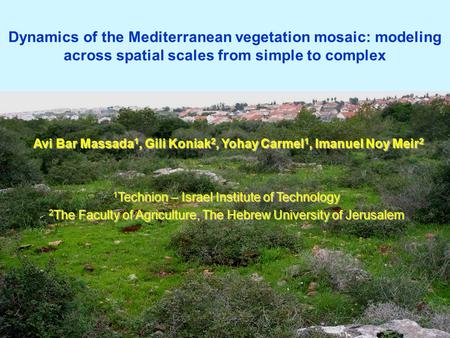 Dynamics of the Mediterranean vegetation mosaic: modeling across spatial scales from simple to complex Avi Bar Massada 1, Gili Koniak 2, Yohay Carmel 1,