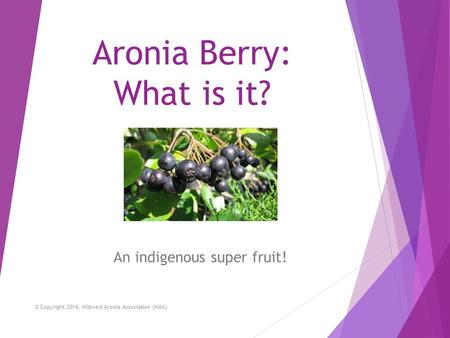 Aronia Berry: What is it?