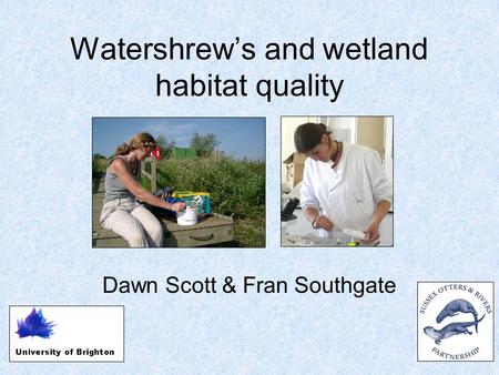Watershrew’s and wetland habitat quality Dawn Scott & Fran Southgate.