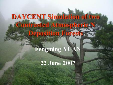 DAYCENT Simulation of two Contrasted Atmospheric N Deposition Forests Fengming YUAN 22 June 2007.