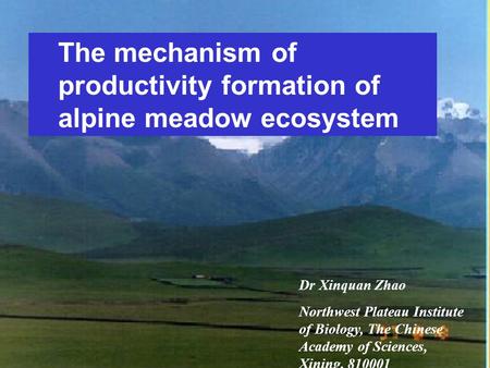 The mechanism of productivity formation of alpine meadow ecosystem Dr Xinquan Zhao Northwest Plateau Institute of Biology, The Chinese Academy of Sciences,