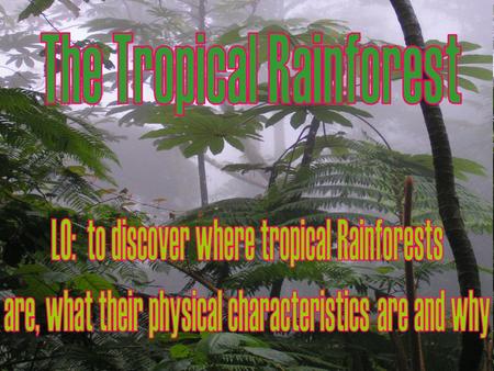 1. Give 3 ways of describing where we find rainforests. Remember compass points, continents, oceans, tropic and countries.