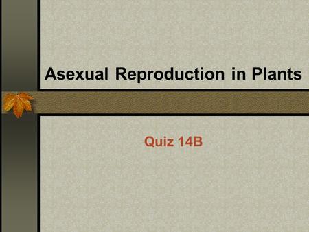 Asexual Reproduction in Plants Quiz 14B. Asexual Reproduction little genetic variation has genes identical to its parent’s.