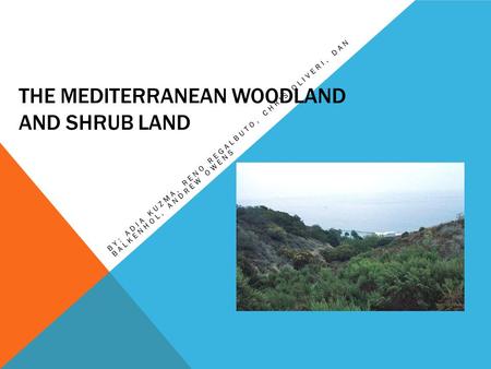 The Mediterranean woodland and shrub land
