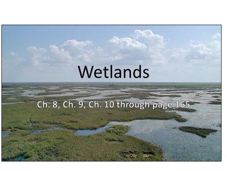 Wetlands. Florida’s Diverse Wetlands Historically, wetlands were viewed as hostile and nasty - “swamp,” “quagmire,” “fen” - portrayed as mosquito- and.