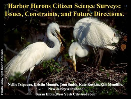 Harbor Herons Citizen Science Surveys: Issues, Constraints, and Future Directions. Nellie Tsipoura, Kristin Munafo, Tom Smith, Kate Ruskin, Kim Mendillo,