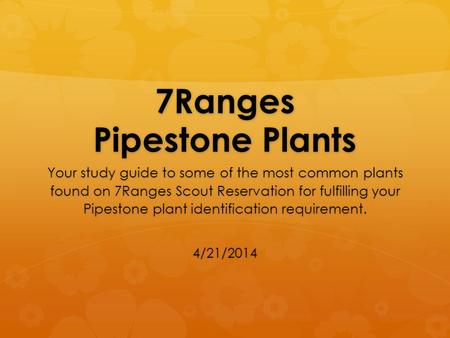 7Ranges Pipestone Plants Your study guide to some of the most common plants found on 7Ranges Scout Reservation for fulfilling your Pipestone plant identification.