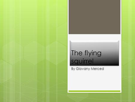 The flying squirrel By Giovany Merced. climate  The climate they need is some wind and sunny weather.