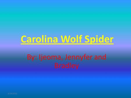 6/14/2011 Carolina Wolf Spider By: Ijeoma, Jennyfer and Bradley.