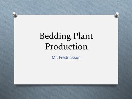 Bedding Plant Production Mr. Fredrickson. Bedding Plants are: O Annuals O Complete their life cycle in one growing season. O Desired for their color or.