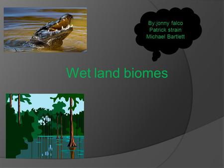 Wet land biomes By:jonny falco Patrick strain Michael Bartlett.