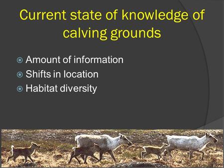 Current state of knowledge of calving grounds  Amount of information  Shifts in location  Habitat diversity.