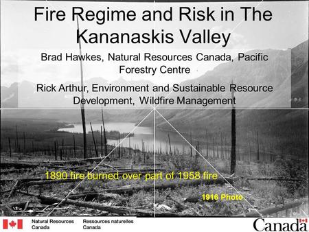 Fire Regime and Risk in The Kananaskis Valley 1916 Photo 1890 fire burned over part of 1958 fire Brad Hawkes, Natural Resources Canada, Pacific Forestry.