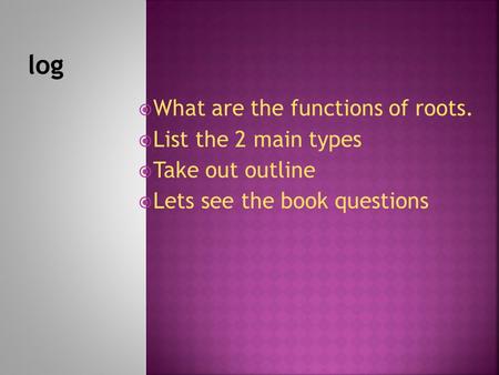 log What are the functions of roots. List the 2 main types