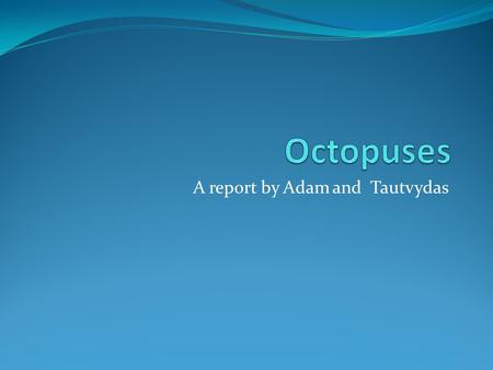 A report by Adam and Tautvydas. What is it? It is an octopus. It is an invertebrate. This means that it does not have a backbone.