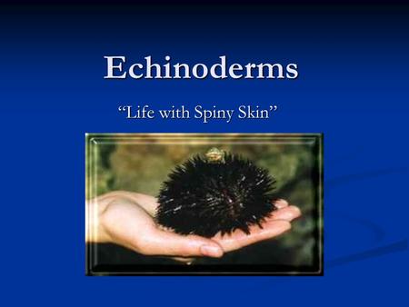 Echinoderms “Life with Spiny Skin”. Worms, mollusks, and arthropods all have bilateral symmetry. Worms, mollusks, and arthropods all have bilateral symmetry.