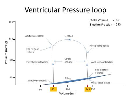 Ventricular Pressure loop