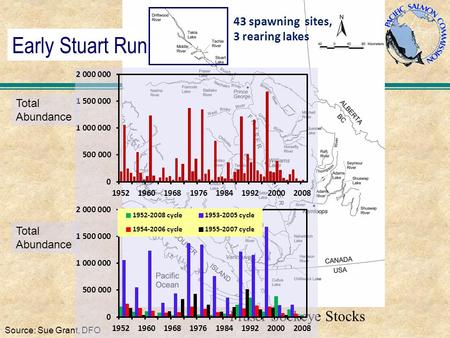 Early Stuart Run Fraser Sockeye Stocks Source: Sue Grant, DFO Total Abundance Total Abundance 43 spawning sites, 3 rearing lakes.