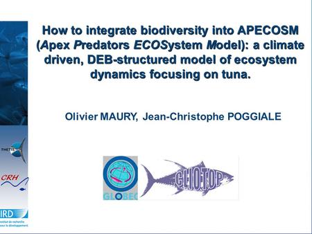 How to integrate biodiversity into APECOSM (Apex Predators ECOSystem Model): a climate driven, DEB-structured model of ecosystem dynamics focusing on tuna.