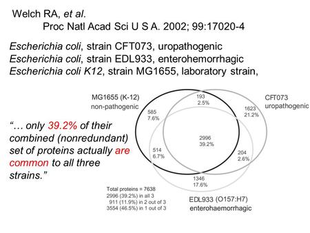 Escherichia coli, strain CFT073, uropathogenic Escherichia coli, strain EDL933, enterohemorrhagic Escherichia coli K12, strain MG1655, laboratory strain,