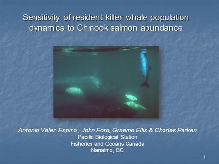 1 Sensitivity of resident killer whale population dynamics to Chinook salmon abundance Antonio Vélez-Espino, John Ford, Graeme Ellis & Charles Parken Pacific.
