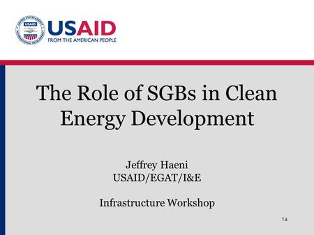 The Role of SGBs in Clean Energy Development