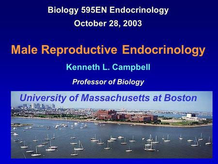 Biology 595EN Endocrinology October 28, 2003 Male Reproductive Endocrinology Kenneth L. Campbell Professor of Biology University of Massachusetts at Boston.