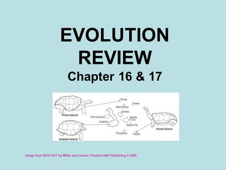 EVOLUTION REVIEW Chapter 16 & 17