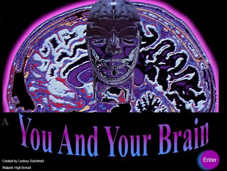 You And Your Brain Enter Created by Lindsey Reichheld