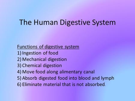 The Human Digestive System Functions of digestive system 1)Ingestion of food 2)Mechanical digestion 3)Chemical digestion 4)Move food along alimentary canal.