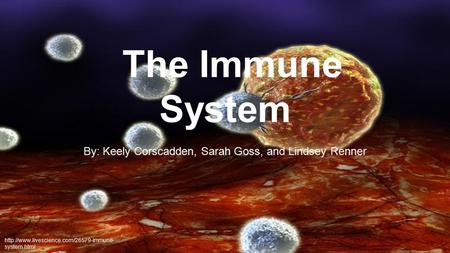 The Immune System By: Keely Corscadden, Sarah Goss, and Lindsey Renner  system.html.