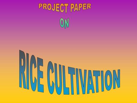 RICE CULTIVATION Introduction : India is an agricultural country. Most of her people are farmers. They produce 3 classes of crops such as Food crops,