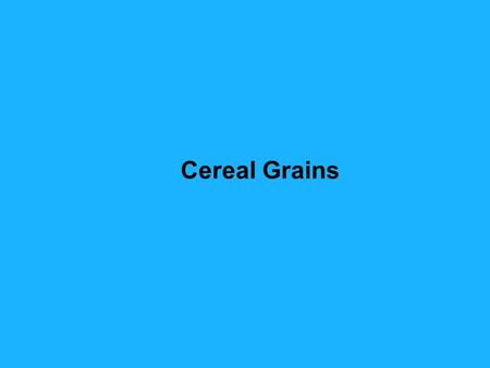 Cereal Grains. David S. Seigler Department of Plant Biology University of Illinois Urbana, Illinois 61801 USA