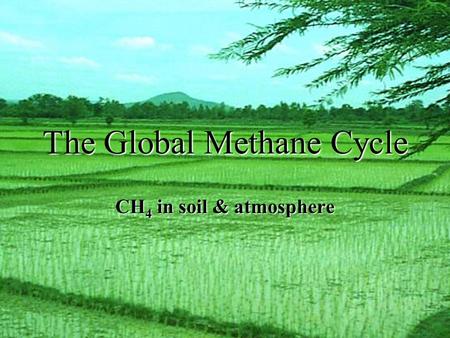 The Global Methane Cycle CH 4 in soil & atmosphere.
