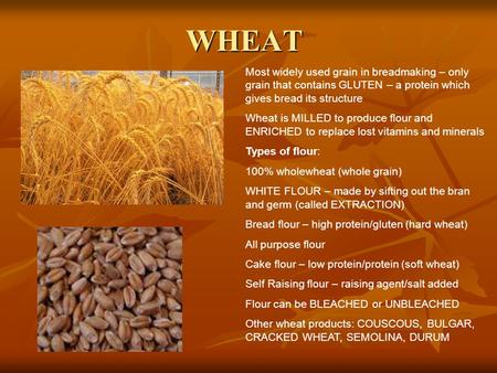 WHEAT Most widely used grain in breadmaking – only grain that contains GLUTEN – a protein which gives bread its structure Wheat is MILLED to produce flour.