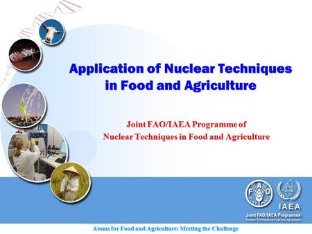 Atoms for Food and Agriculture: Meeting the Challenge Application of Nuclear Techniques in Food and Agriculture Joint FAO/IAEA Programme of Nuclear Techniques.