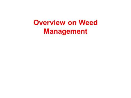 Overview on Weed Management. Background Issues Weeds –Yield losses –Input efficiency –Input associated with control labor chemical energy Long-term effects.