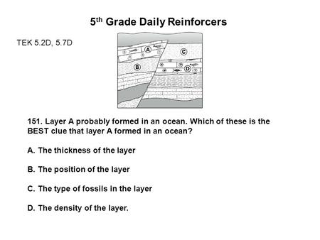 5 th Grade Daily Reinforcers TEK 5.2D, 5.7D 151. Layer A probably formed in an ocean. Which of these is the BEST clue that layer A formed in an ocean?