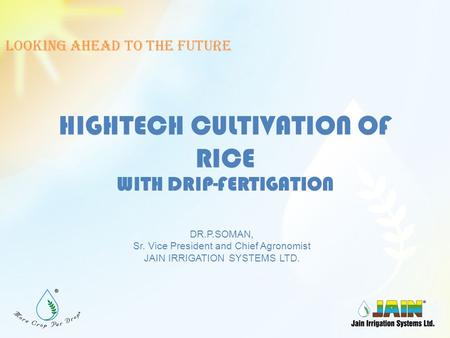 HIGHTECH CULTIVATION OF RICE