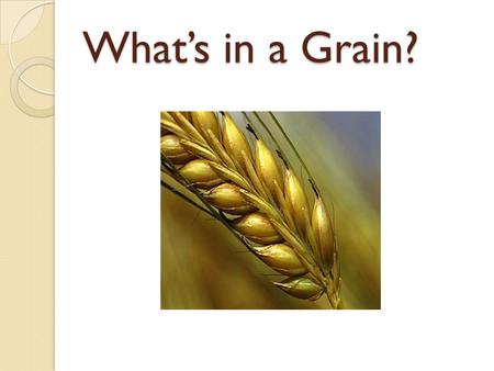 What’s in a Grain?.