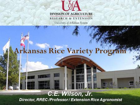 Arkansas Rice Variety Program C.E. Wilson, Jr. Director, RREC /Professor / Extension Rice Agronomist.