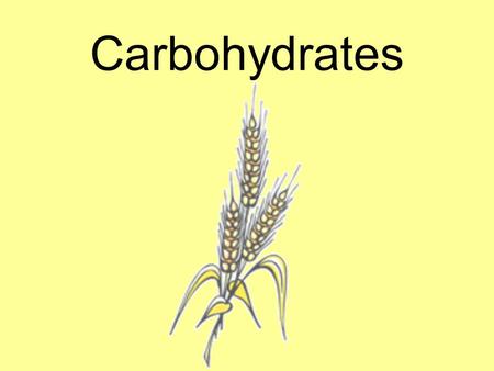 Carbohydrates. 1.We get most of our carbohydrates from the GRAINS group. a.Grains are the edible seeds of certain GRASSES. b.The principle grains are.