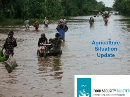 Assessment and Analysis Agriculture Situation Update.