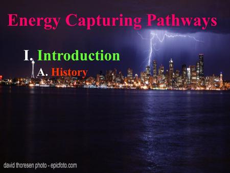 Energy Capturing Pathways I. Introduction A. History.
