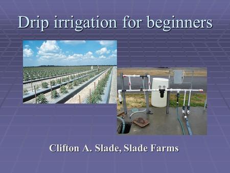 Drip irrigation for beginners