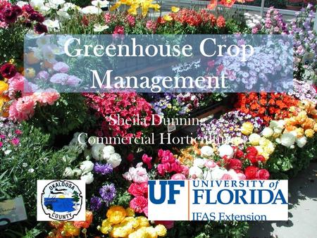 Greenhouse Crop Management Sheila Dunning Commercial Horticulture.