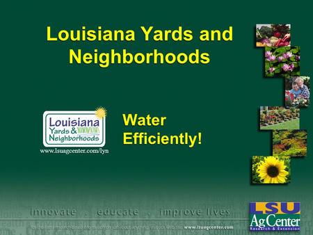 Louisiana Yards and Neighborhoods Water Efficiently! www.lsuagcenter.com/lyn.